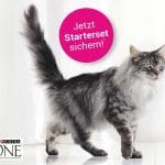 Katzenfutter gratis Produktprobe